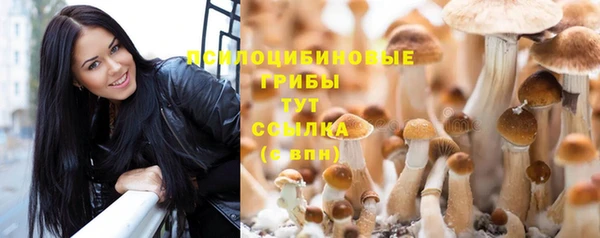 MESCALINE Заречный