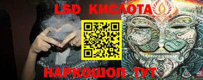 прущие крисы Будённовск