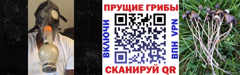Псилоцибиновые грибы прущие грибы  Ивантеевка 