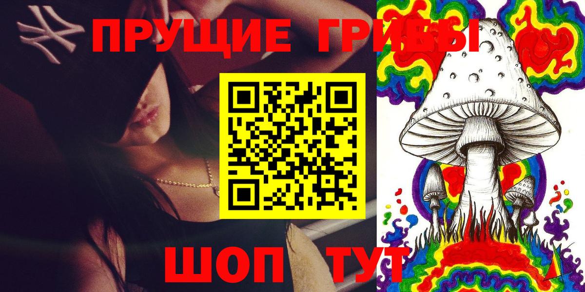 Галлюциногенные грибы Psilocybe Ивантеевка