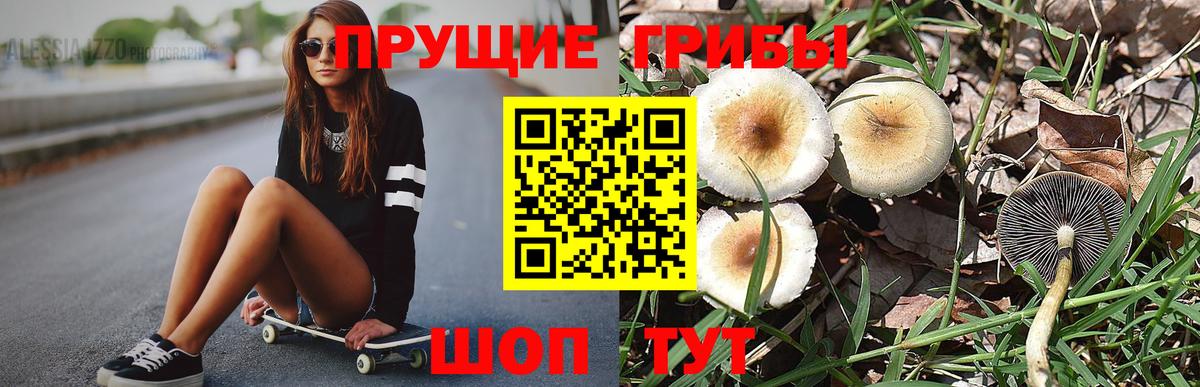 Ивантеевка  Галлюциногенные грибы MAGIC MUSHROOMS  Вход с VPN 